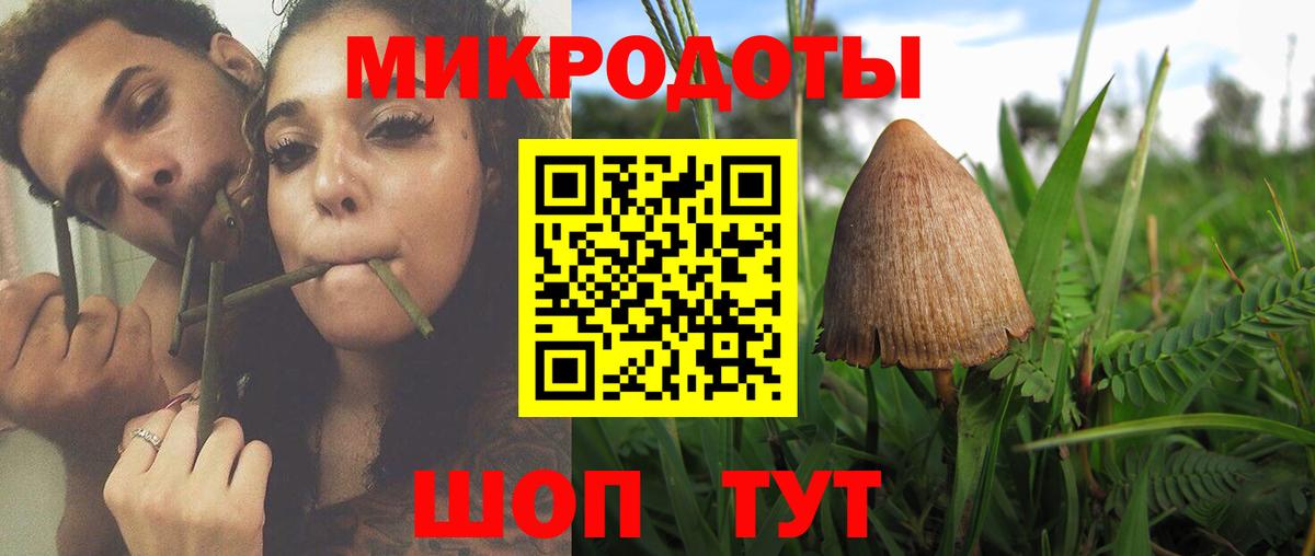 Можга  Галлюциногенные грибы Psilocybine cubensis  Вход с VPN  Псилоцибиновые грибы мухоморы 